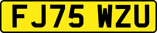 FJ75WZU