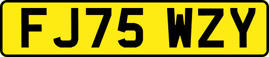 FJ75WZY