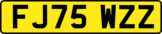FJ75WZZ