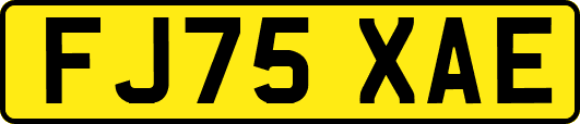 FJ75XAE
