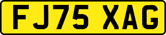 FJ75XAG