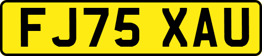 FJ75XAU
