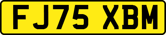 FJ75XBM