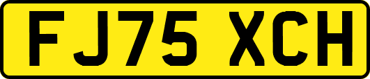 FJ75XCH