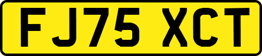 FJ75XCT