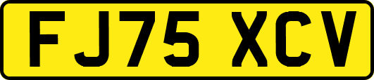 FJ75XCV