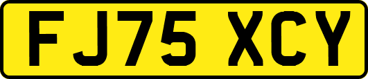 FJ75XCY