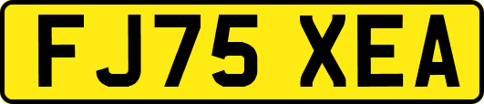 FJ75XEA