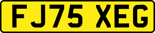 FJ75XEG