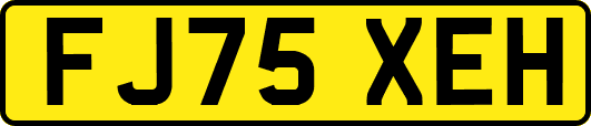 FJ75XEH