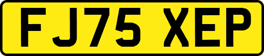 FJ75XEP