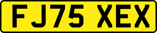 FJ75XEX