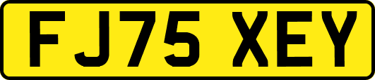 FJ75XEY