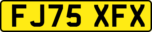 FJ75XFX