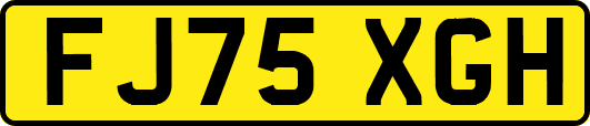 FJ75XGH