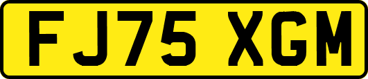 FJ75XGM