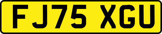 FJ75XGU