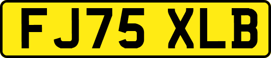 FJ75XLB