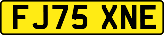 FJ75XNE
