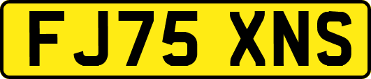 FJ75XNS