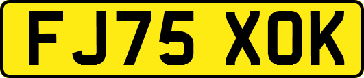 FJ75XOK