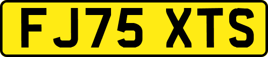 FJ75XTS