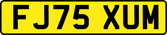 FJ75XUM