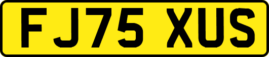 FJ75XUS