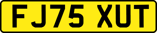 FJ75XUT
