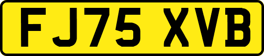 FJ75XVB