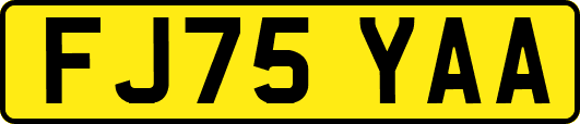 FJ75YAA