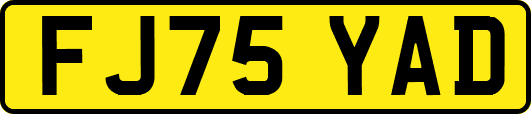 FJ75YAD