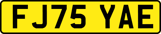 FJ75YAE