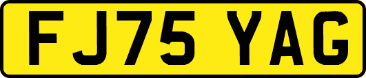 FJ75YAG