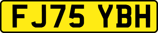 FJ75YBH