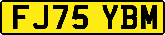 FJ75YBM