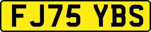 FJ75YBS