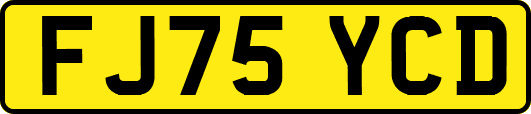 FJ75YCD