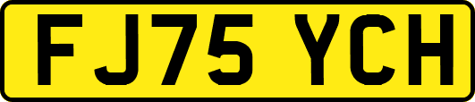 FJ75YCH