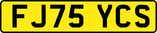 FJ75YCS
