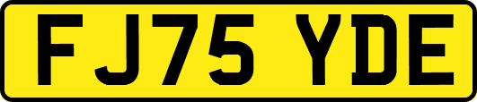 FJ75YDE
