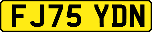 FJ75YDN