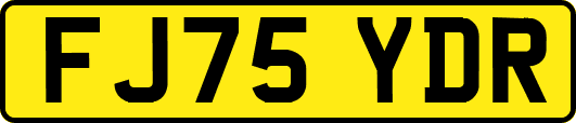 FJ75YDR