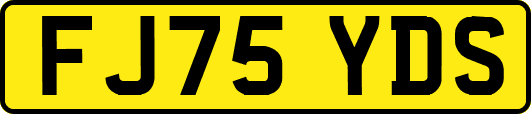FJ75YDS