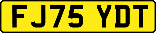 FJ75YDT