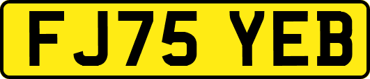 FJ75YEB