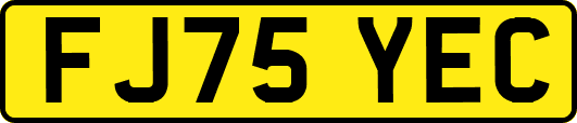 FJ75YEC