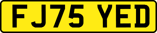 FJ75YED