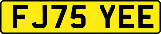 FJ75YEE