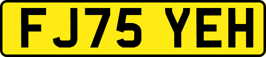 FJ75YEH